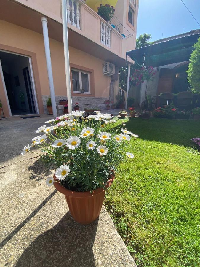 Apartment Dora Zadar Exterior foto